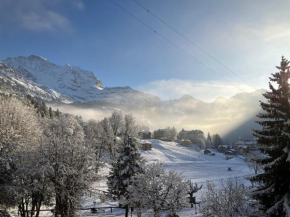Beausite Park Hotel & Spa Wengen